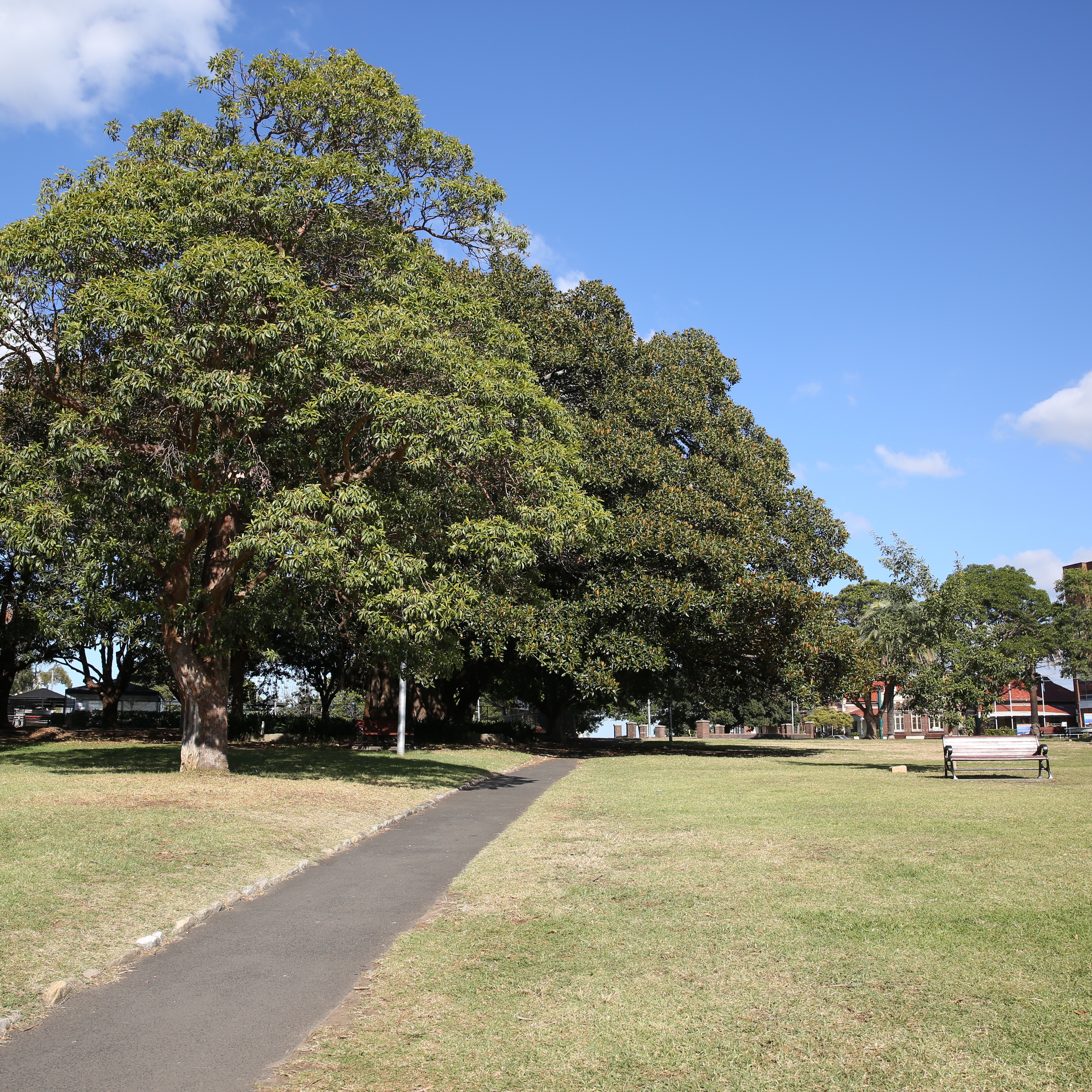 Gladstone Park path and trees